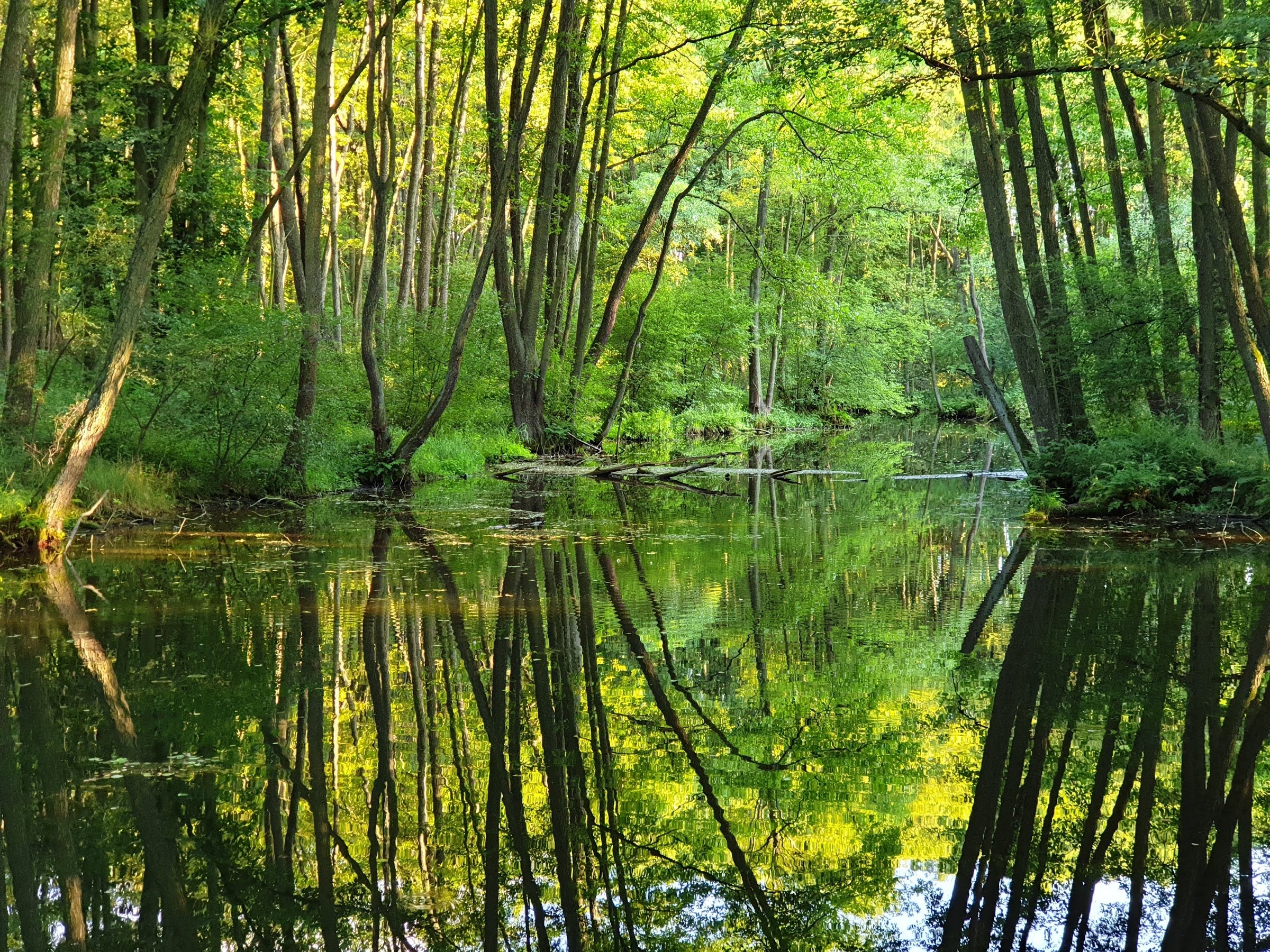 Niebieskie Źródła Nature Reserve